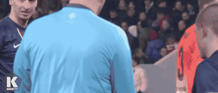 7SOC.gif