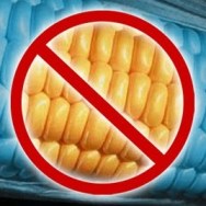 no-corn330-e12916451035561.jpg
