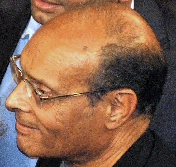 PortraitMoncefMarzouki.jpg