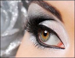 silver_eye_web208.jpg