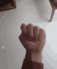 vote4-votefour.gif