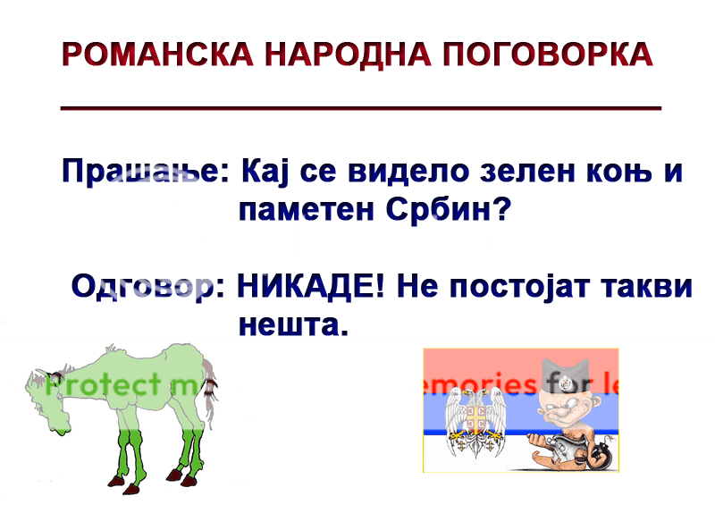 glupi_srbi.png