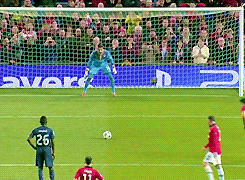 tumblr_n2pljkEwsP1qiqjvto1_250.gif