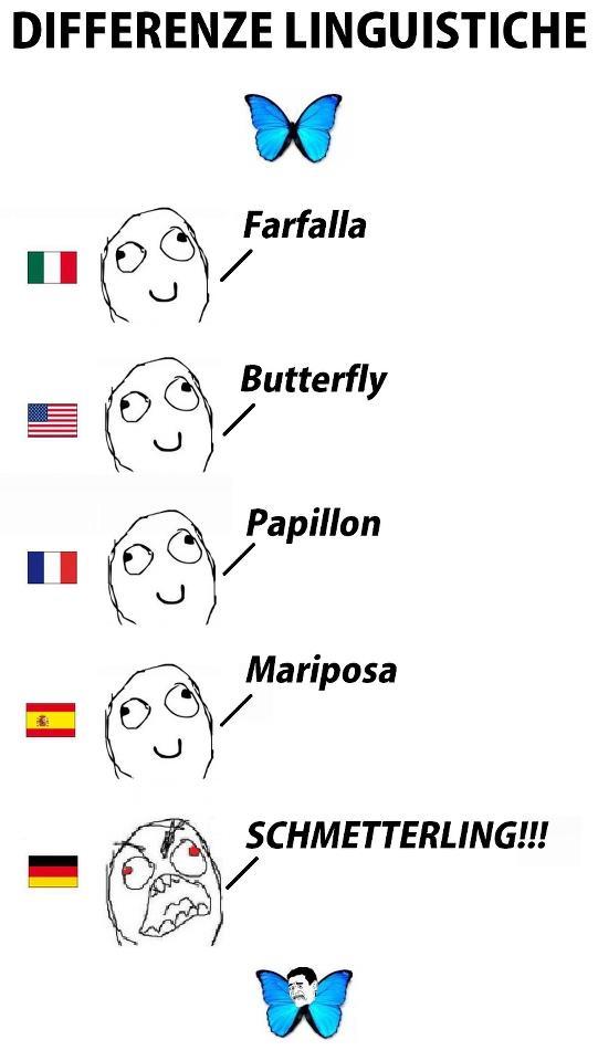 c13.jpg