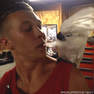 tumblr_mr0vx5Vr4j1r33r0fo1_400.gif