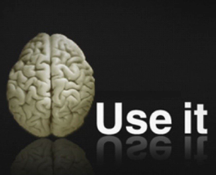 s1600_Use_it_Your_Brain2.jpg