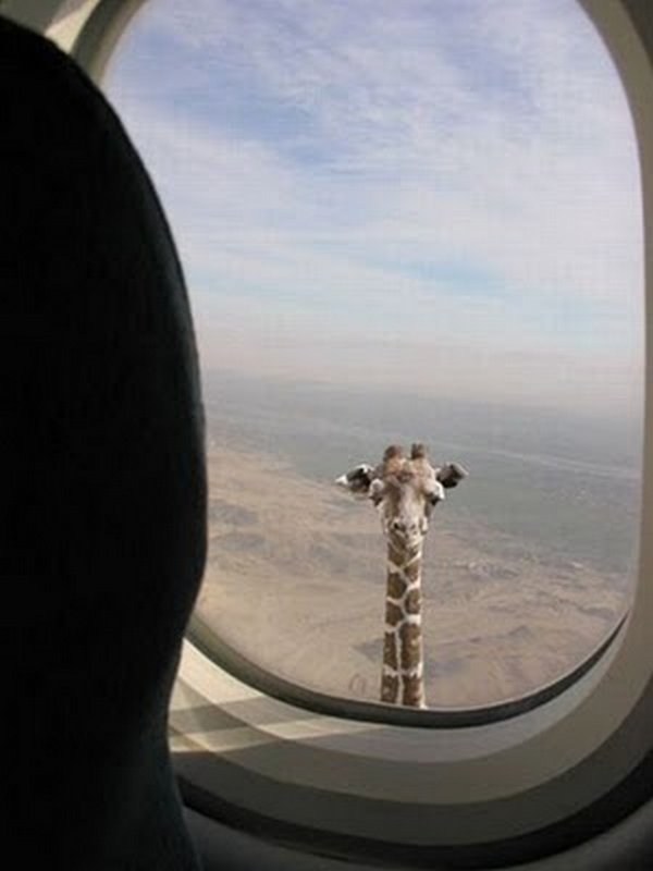 funny-photoshop-01.jpg