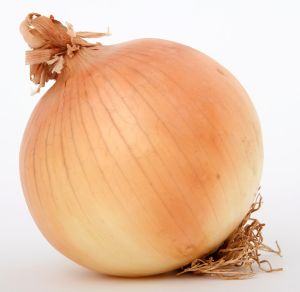 onion-centurion.jpg