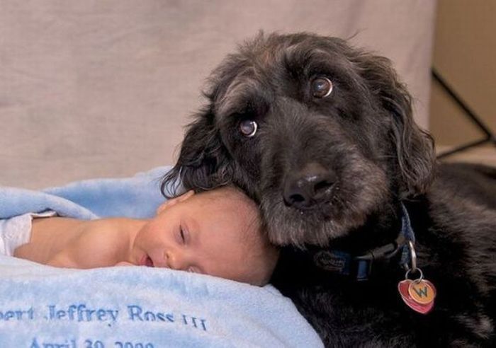 baby-and-dog.jpg