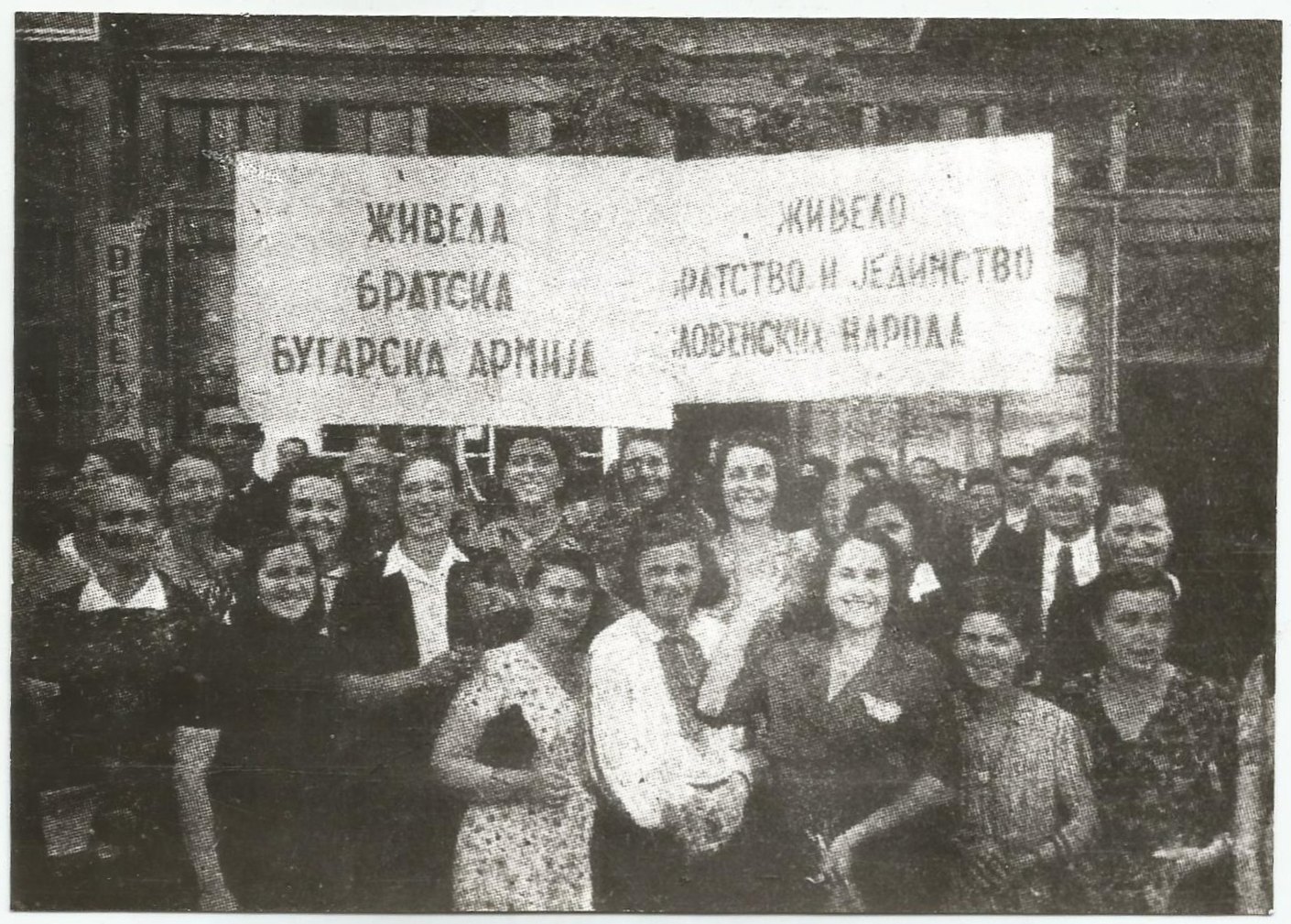 mcaZv04.jpg