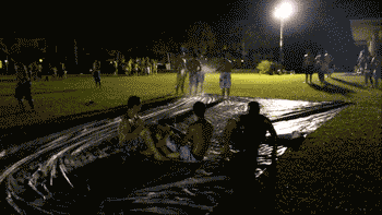 FGqSQ.gif