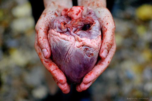 bloody-heart-2.jpg