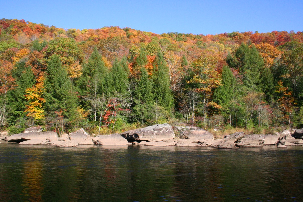 Gauley-River-2.JPG