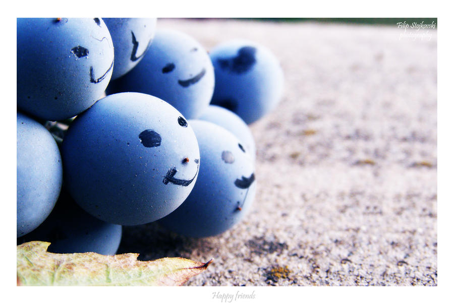 Happy_grape_friends_by_FLixter.jpg