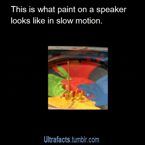 tumblr_n9hxe5B02X1rhavdko1_500.gif
