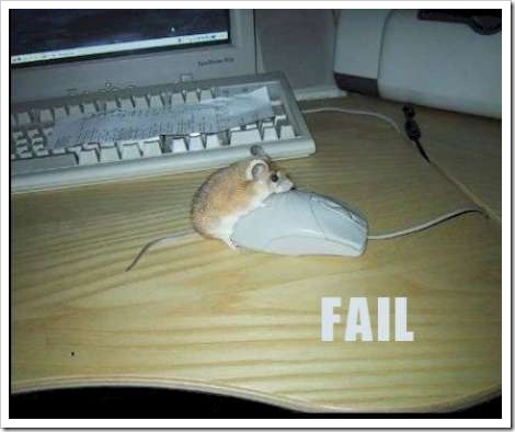 fail-mouse%5B2%5D.jpg