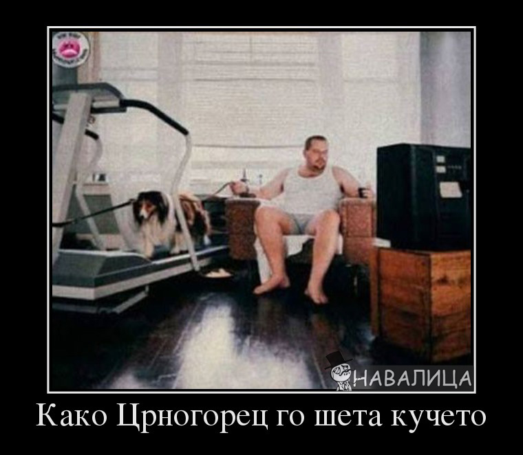 kuce.jpg
