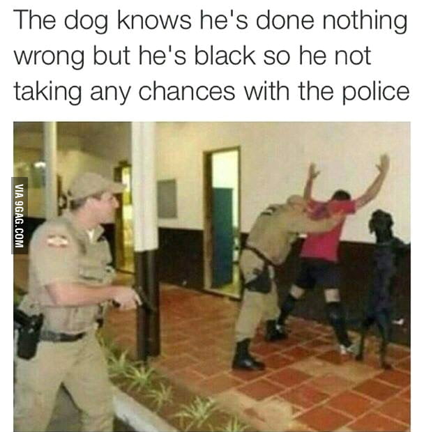 a3Ld8xQ_700b_v1.jpg