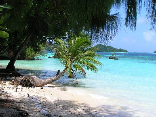 palau.jpg