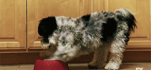 tumblr_o227erqCq21qe5ugfo3_500.gif