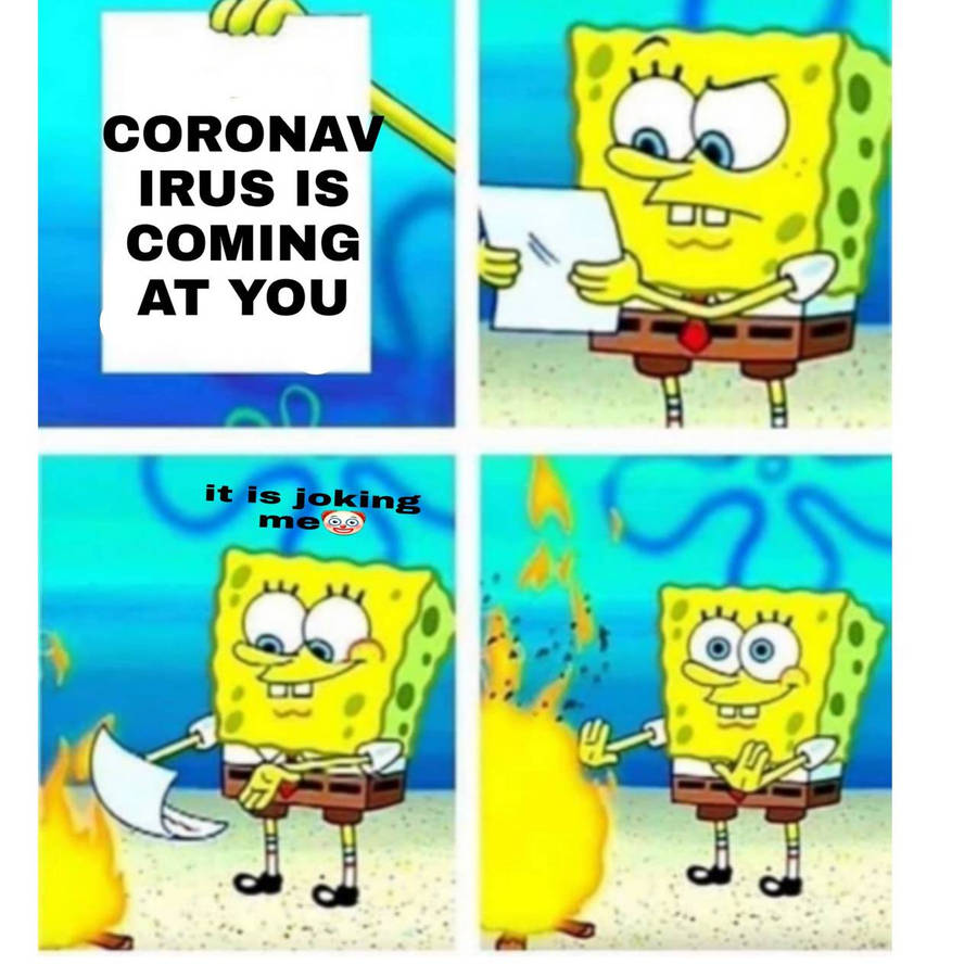 mkg8h.jpg