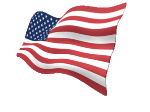 gif-ameri-flag.gif