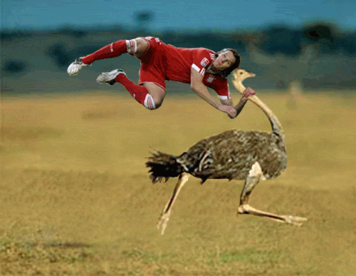 daniel_van_buyten_21.gif