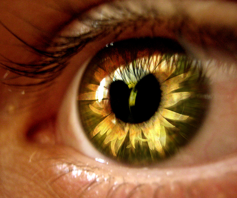 Flower_eye_by_FLixter.jpg