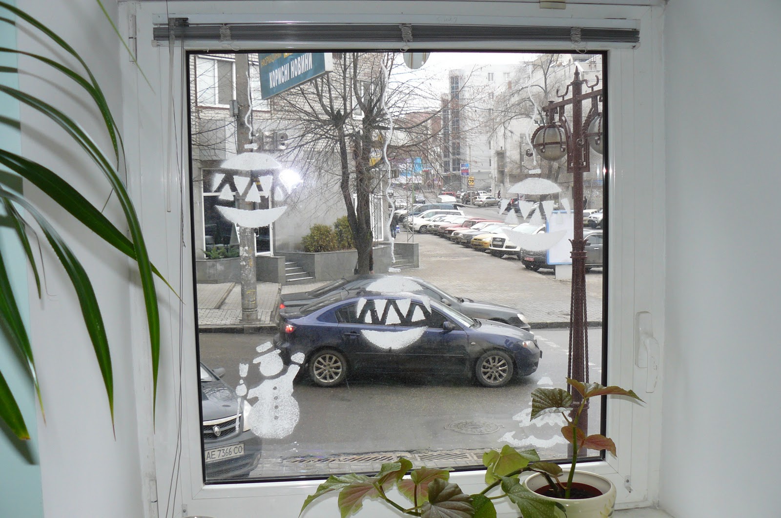 P1130691.JPG