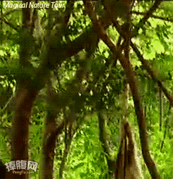daily_gifdump_346_10.gif