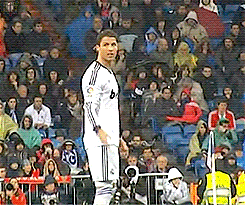 sto.gif