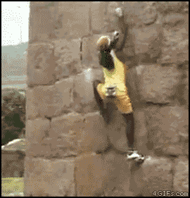 1263551805_00.gif