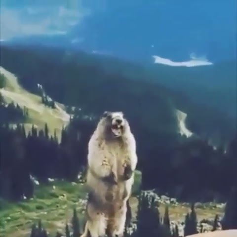 www.youtube.com