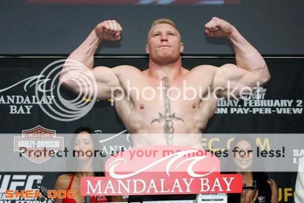 BrockLesnar.jpg