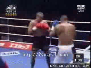 1543161_o.gif