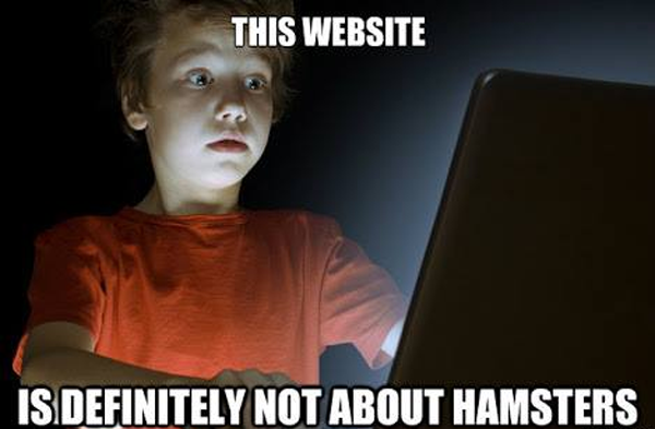 85325261.png