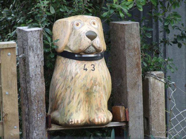 1217440633_letterbox12.jpg