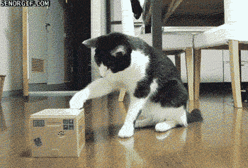 txi2mrO2hUa67HWJ5ABs5Q2.gif