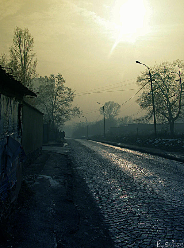 Cold_Loneliness_by_FLixter.jpg