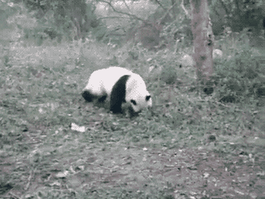 tumblr_mz0f43pihb1st90nio1_400.gif