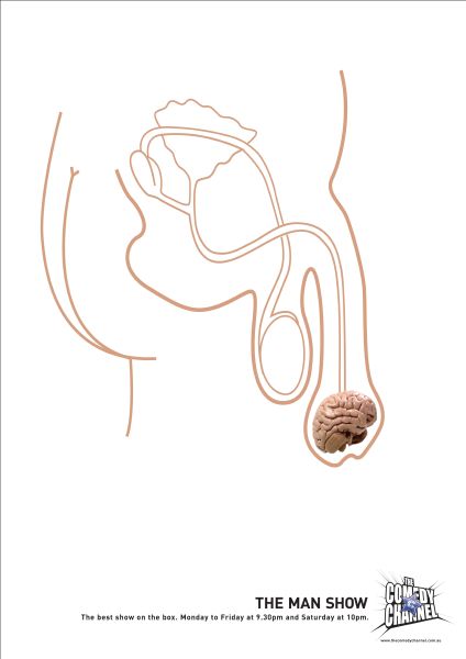 anatomia.jpg