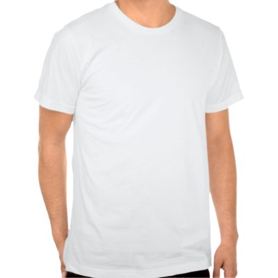 norway_flag_t_shirt-p235256426874552556qjha_400.jpg