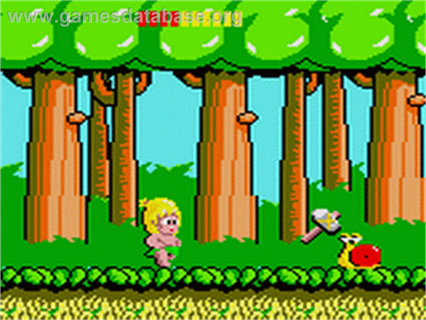 Wonder_Boy_-_1991_-_Sega.jpg