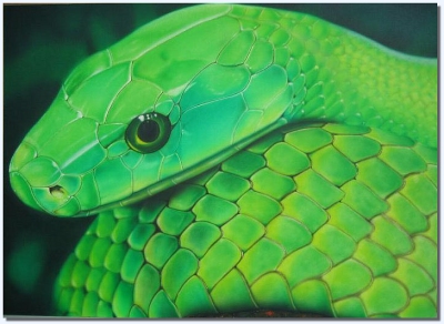 airbrush_mamba_31_th.jpg