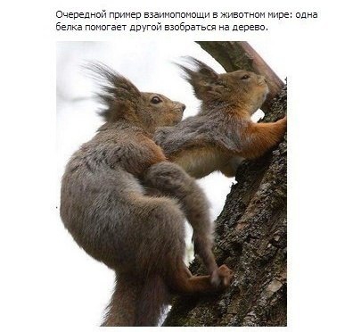 post-30834-1368096050.jpg