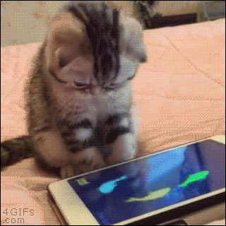 3oFyDjBzhew9syNbPy.gif