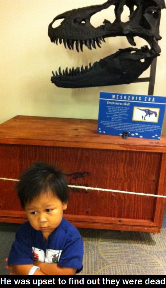 daily_picdump_1227_50.jpg