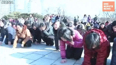 ywDaP1.gif