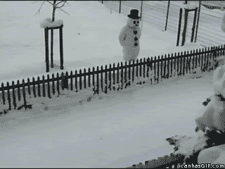 10657.gif