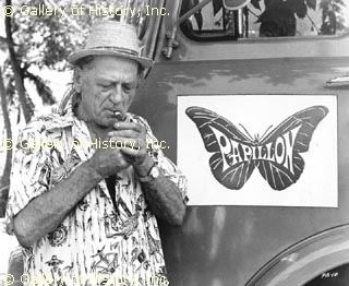 papillon1.jpg
